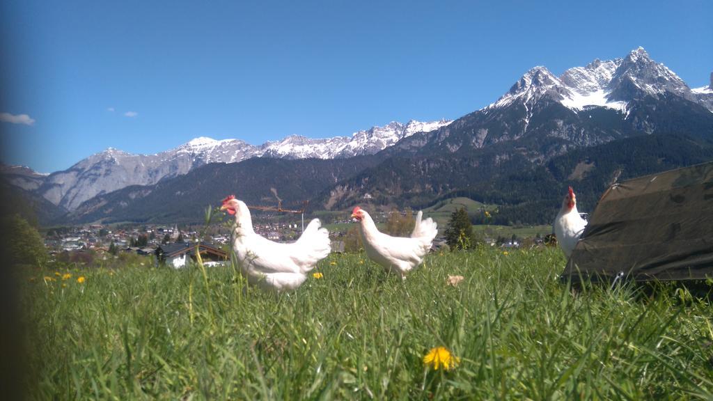 Klampfererhof Villa Saalfelden Exteriör bild